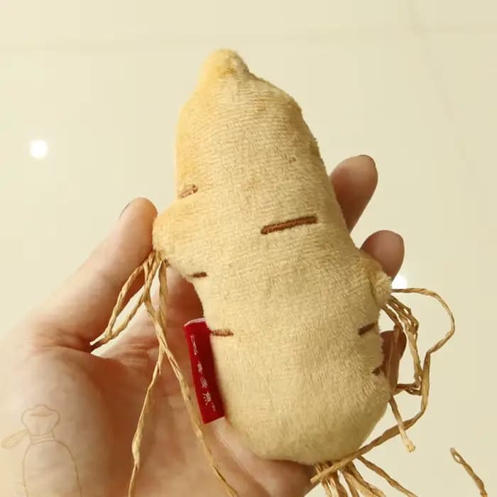 Jouets sûrs pour chat, nettoyage des dents