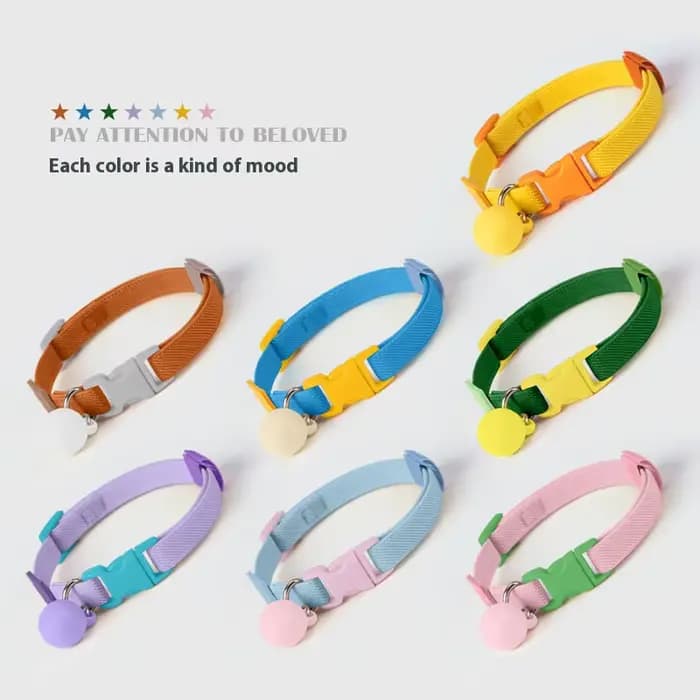 Collier réfléchissant pour chat
