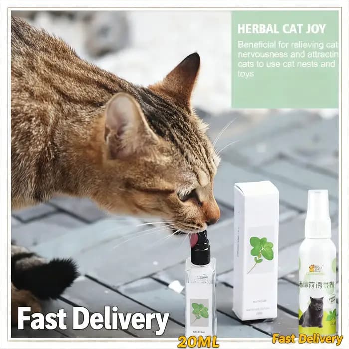 Spray à la catnip pour chat