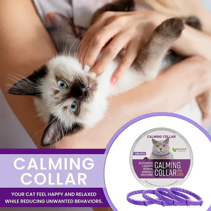 Collier apaisant pour chats