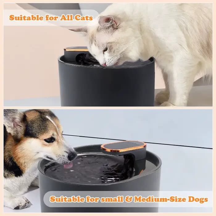 Fontaine d'eau pour chat 3L avec capteur de mouvement