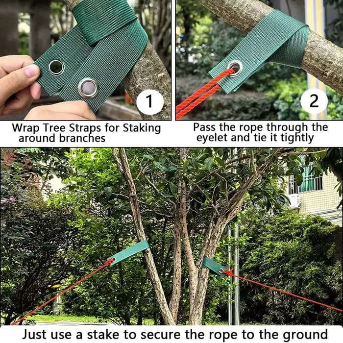 Sangles d'arbre pour piqûre