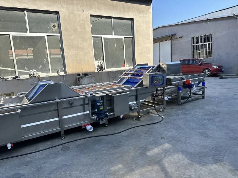Déshydrateur à air chaud préfabriqué FOODLINE à économie d'énergie pour légumes, réduit l'humidité des matières premières avant l'emballage