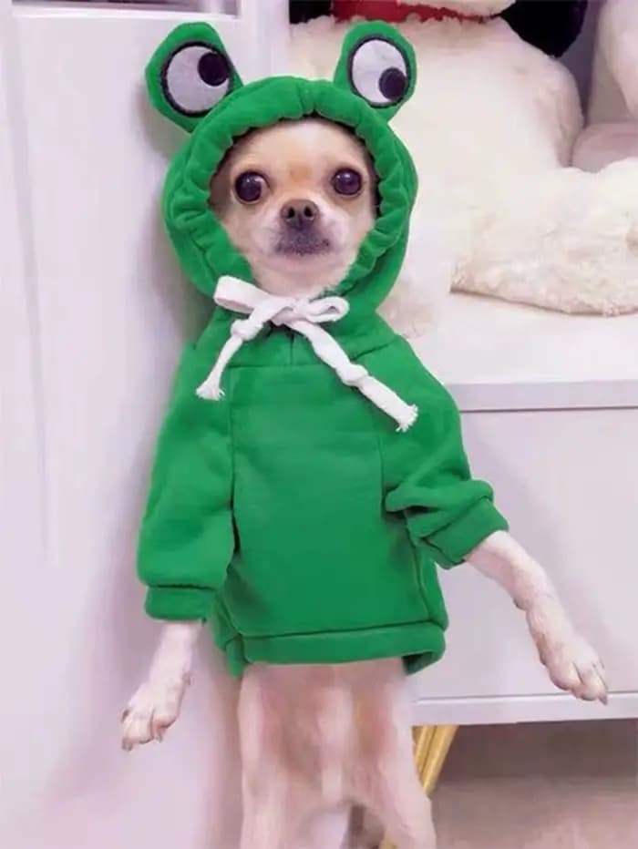 Pull grenouille mignon pour animaux de compagnie, petit et moyen chien, sweat à capuche vert avec de