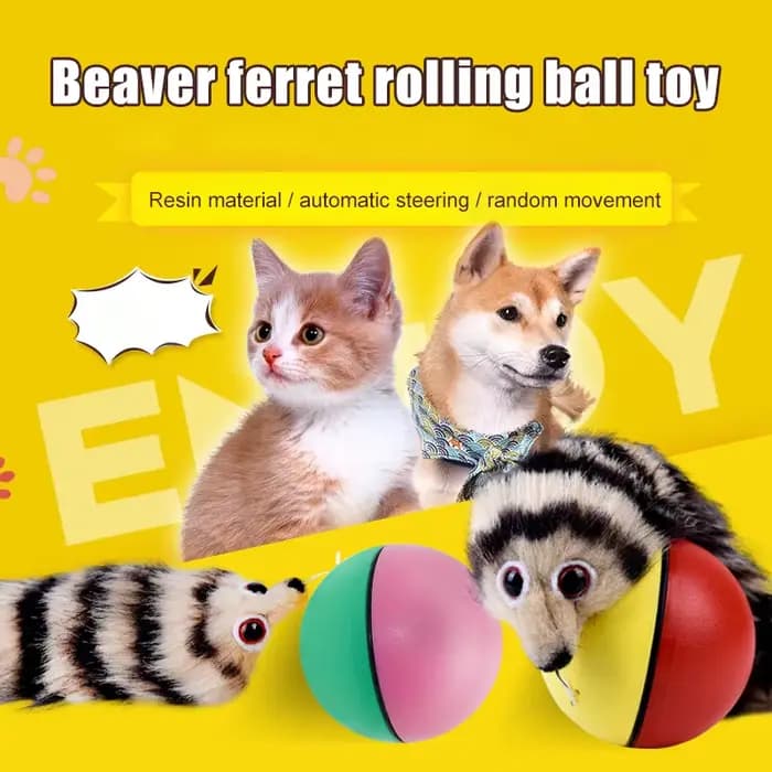 Jouets de balle interactifs pour chat, jouet d'entraînement, balle de castor électrique, belette, ba