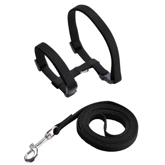 Ensemble harnais pour chat avec laisse et collier, résistant à l'évasion, réglable en H Shped, léger