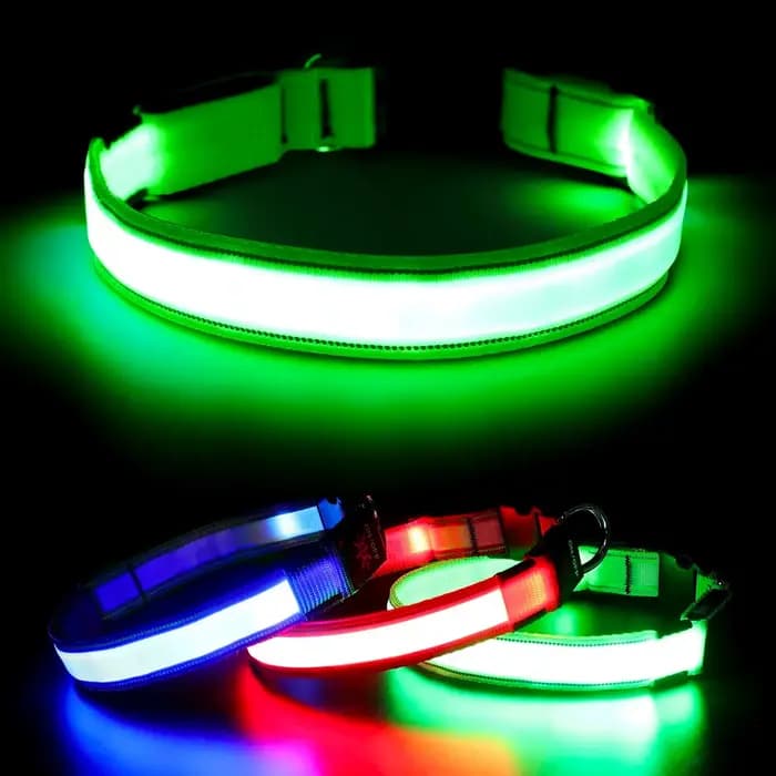Collier lumineux LED réglable pour chien, rechargeable par USB, clignotant, anti-perte/anti-collisio