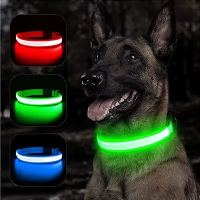 Collier de chien lumineux LED réglable clignotant Rechargea collier lumineux nuit Anti-perte harnais