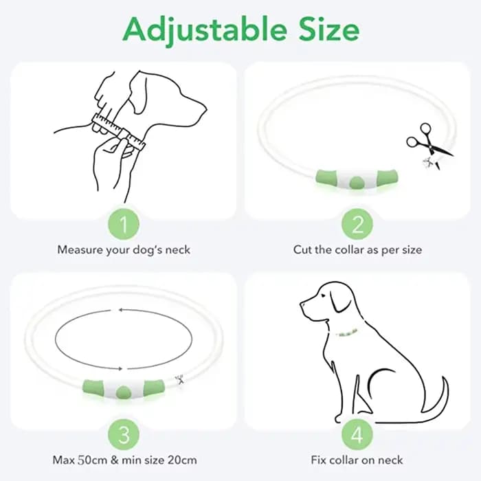 Collier de chien lumineux Led, collier de chargement USB, clignotant, bricolage, sécurité lumineuse,