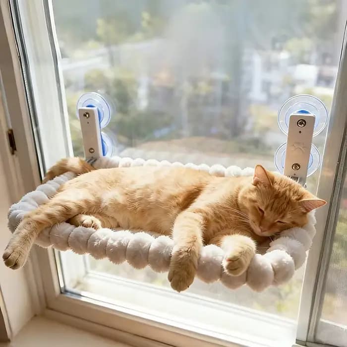 Hamac de fenêtre pour chat avec ventouses fortes – Perche confortable pour chats d'intérieur