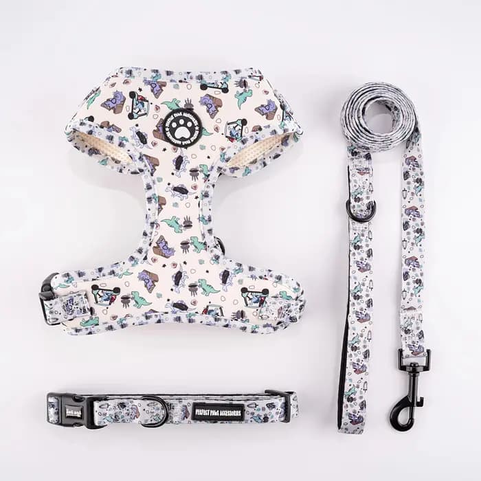 Harnais pour chats, harnais, laisse, accessoires, produits pour animaux de compagnie, chaton, produi