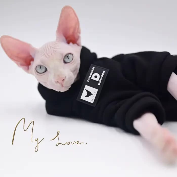 DUOMASUMI Sweat à capuche pour chat pour races sans poils – Pull tendance printemps/automne pour Sph