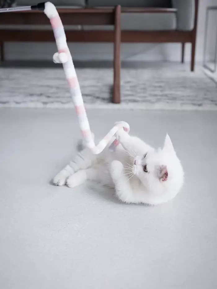 Jouet pour chat plume chat Teaser baguette chat jouet interactif drôle chenille coloré tige Teaser b