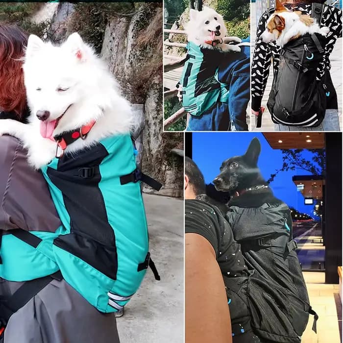 Sac de transport pour animaux de compagnie, sac à dos réglable pour chiots, chiens et chats, pour pe