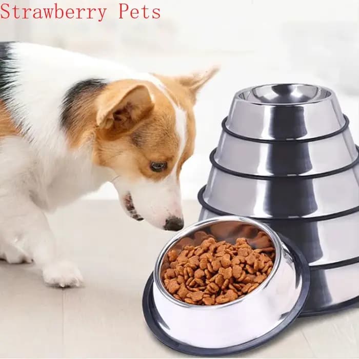 Bol en acier inoxydable pour chien, conteneur de stockage des aliments, bol de nourriture pour chien