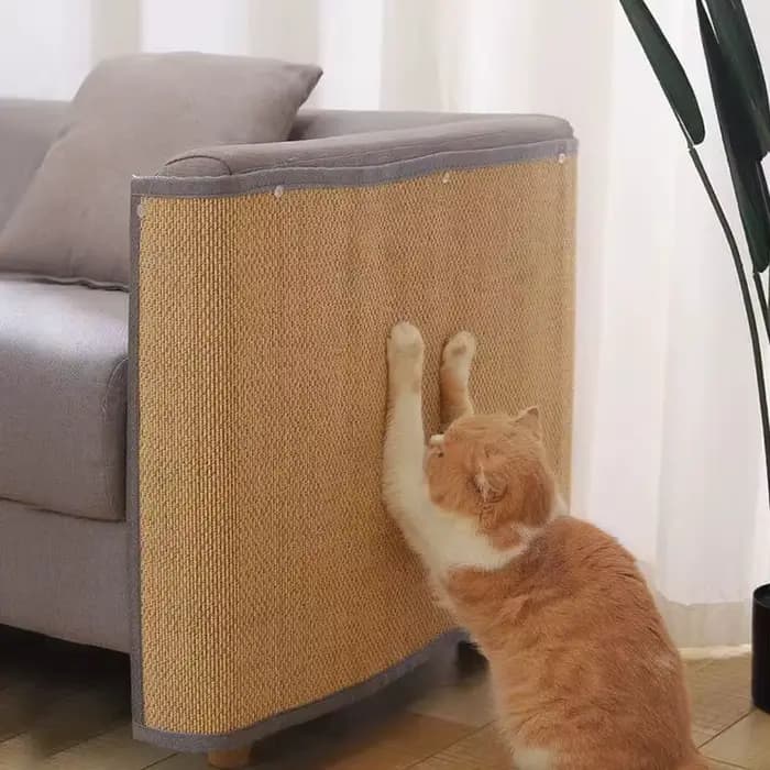 Artefact de Protection de canapé anti-rayures pour chat, planche à gratter, pattes de chat, tapis ai