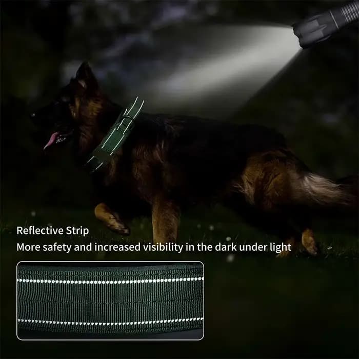 Collier pour chien tactique robuste à Double boucle, collier pour chien de qualité militaire avec po