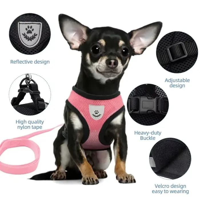Harnais d'été pour chien et chat, laisse en plomb, gilet réglable, maille en Polyester, respirant, r