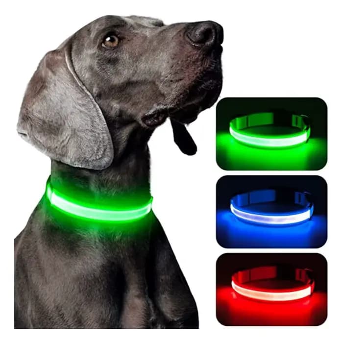 Collier lumineux LED réglable pour chien, rechargeable par USB, clignotant, anti-perte/anti-collisio