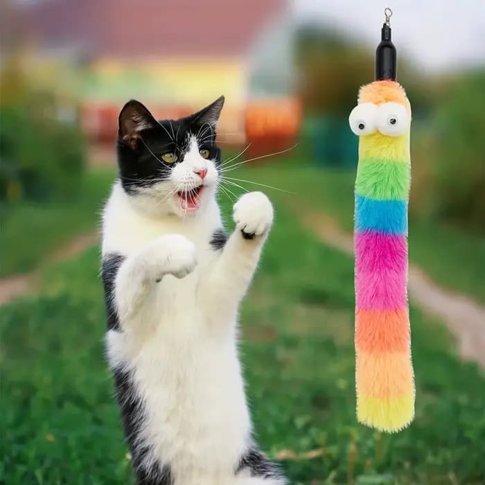 Baguette pour chat, 9 pièces, jouets en plumes, jouets interactifs pour chat, ver pour chats d'intér