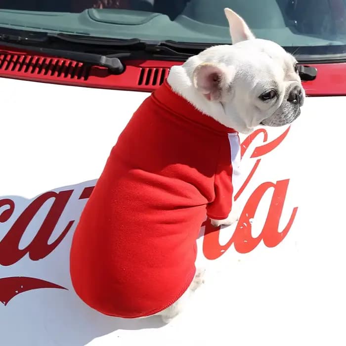 Veste de baseball pour chien, vêtements d'hiver pour chiens de petite et moyenne taille, gilet pour