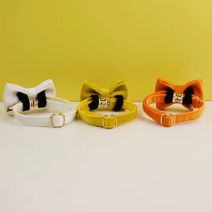 Collier pour chat en velours personnalisé avec étiquette d'identification, collier pour chaton avec