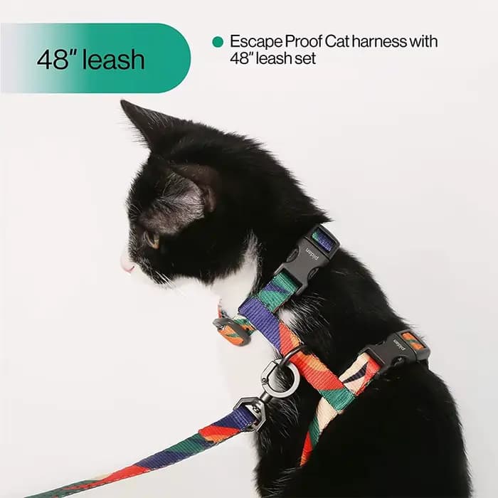 Ensemble harnais et laisse pour chat, harnais réglable anti-évasion pour chaton, pour grands et peti