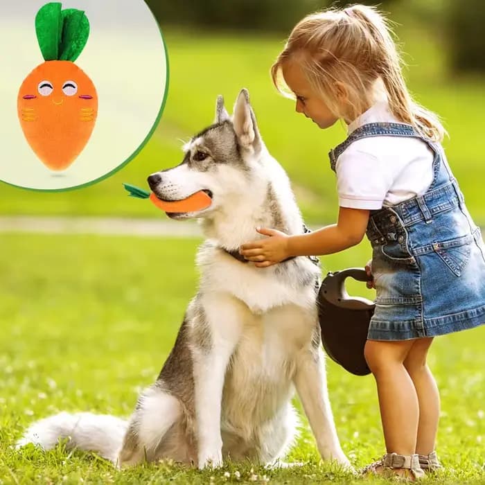 Jouets à mâcher en peluche pour chiens, carotte grinçante, peluche douce, fournitures interactives p