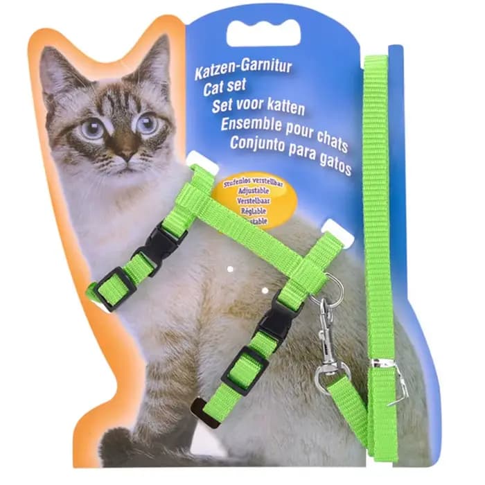 Collier réglable en nylon pour animal de compagnie, ensemble de laisse confortable, accessoires pour