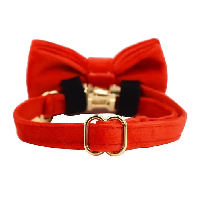 Collier personnalisé pour chat chaton collier velours chiot petits chiens colliers personnalisé grav