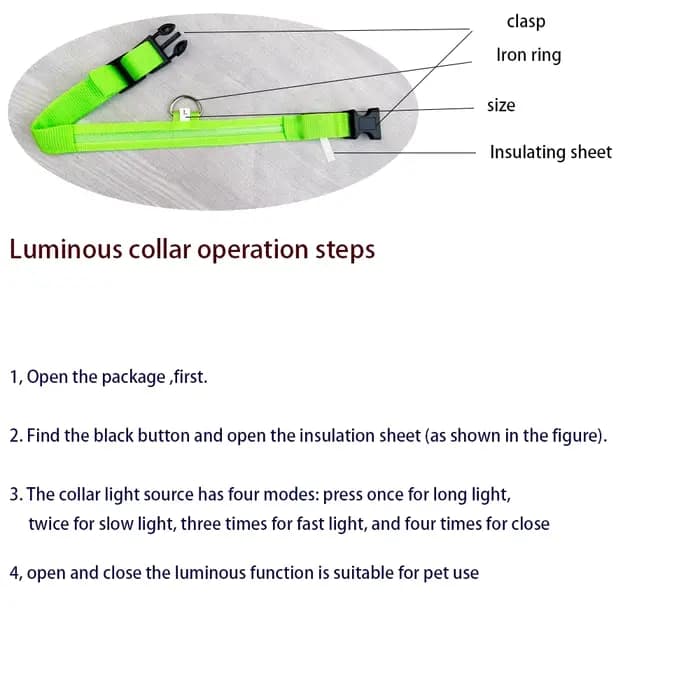 Laisse LED clignotante en nylon pour chien, sécurité nocturne, lueur dans le noir, collier de chien