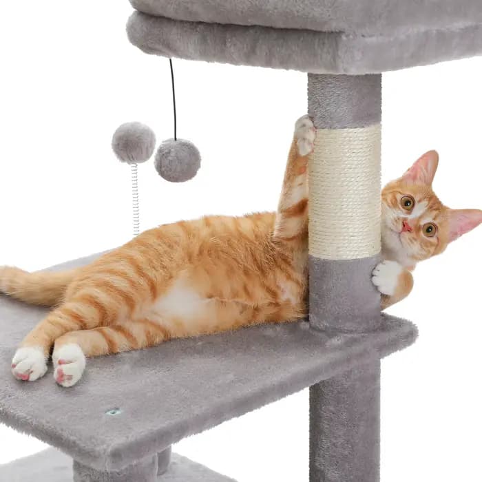 Grand condo pour chats d'intérieur, arbre à chat avec hamac, griffoirs, 2 perchoirs