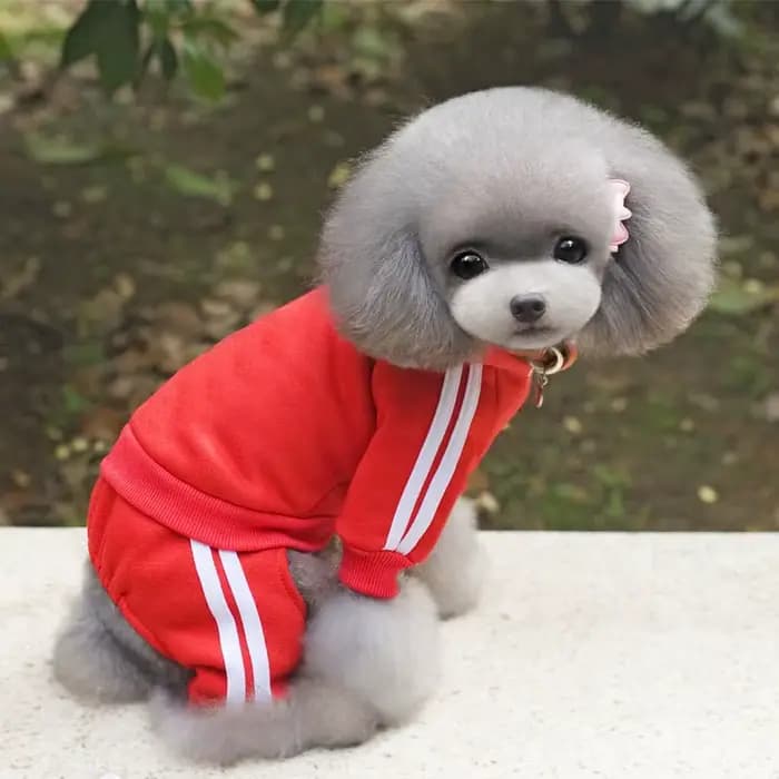 Adidog vêtements pour chiens salopette épaisse pour chiens, vêtements d'hiver pour petits chiens chi