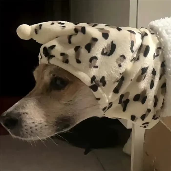 Chapeau polaire à col haut pour chien, accessoires d'hiver pour animaux de compagnie, coupe-vent, ch