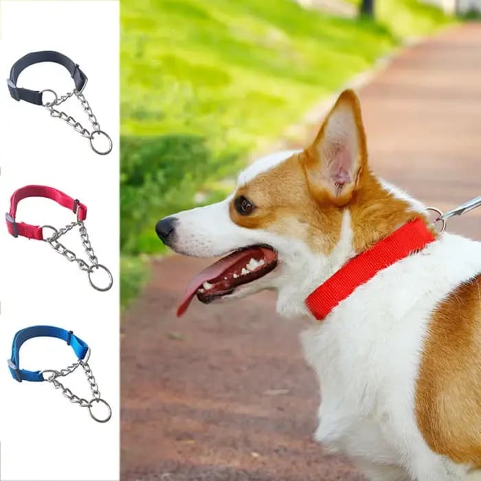 Collier pour animaux de compagnie réglable en Nylon pour grands chiens, collier de pincement antidér