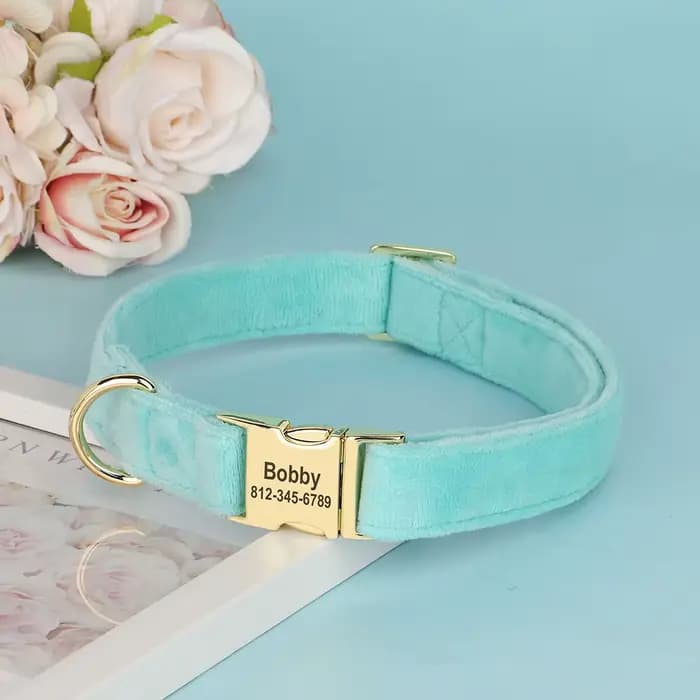 Collier de chien en velours personnalisé, Super doux, avec boucle d'identification, nom gravé, colli