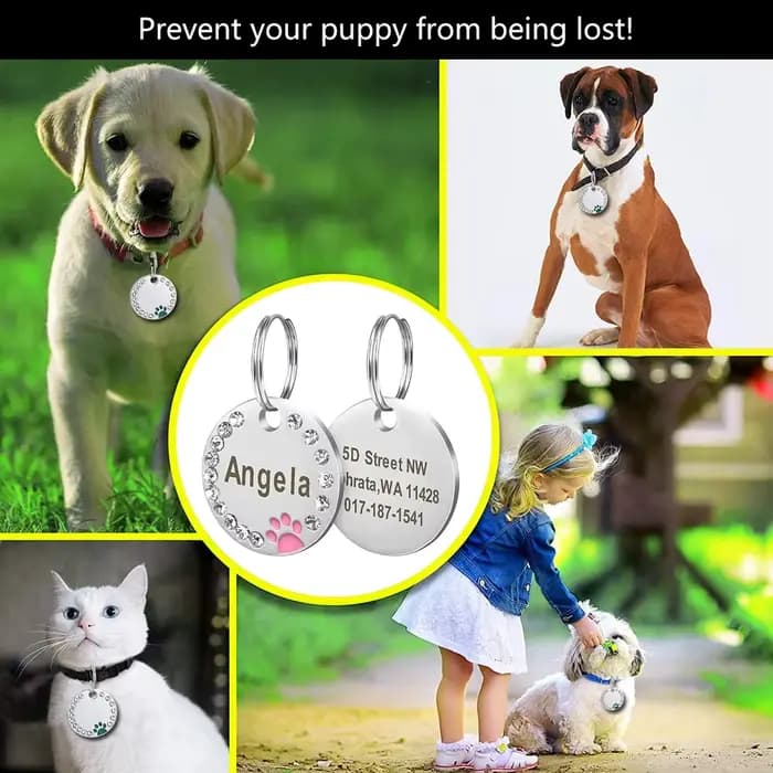 Collier pendentif avec nom d'animal de compagnie gravé en acier inoxydable, étiquettes d'identificat