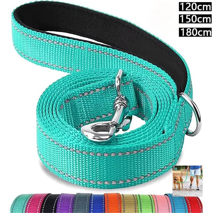 Collier harnais pour chiens et chats, sangle en plomb, réflexion nocturne, corde de remorquage pour