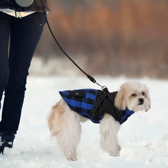 Veste d'hiver avec harnais pour chien, manteaux chauds à fermeture éclair au dos pour petits, moyens