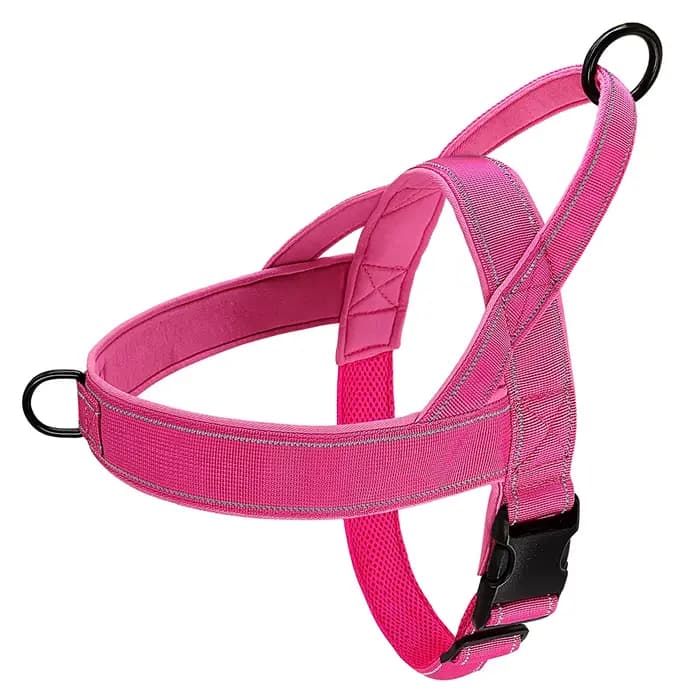 Harnais pour chien sans traction, rembourré et doux, gilet réfléchissant, harnais d'entraînement pou