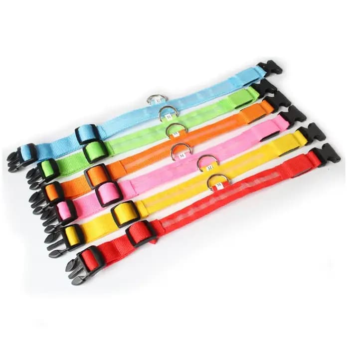 Collier Anti-perte pour chien, lumière Led, fournitures lumineuses de nuit pour chiots, produits pou