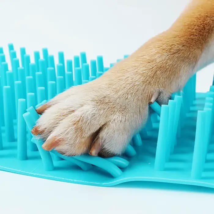 Nettoyeur de pattes pour animaux de compagnie, piston de pattes, tasse de nettoyage des pieds en Sil