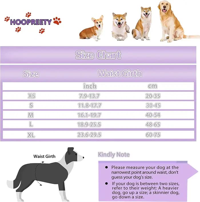 Couches réutilisables pour chiens féminins, couches à haute absorption pour chiots, culottes réglabl