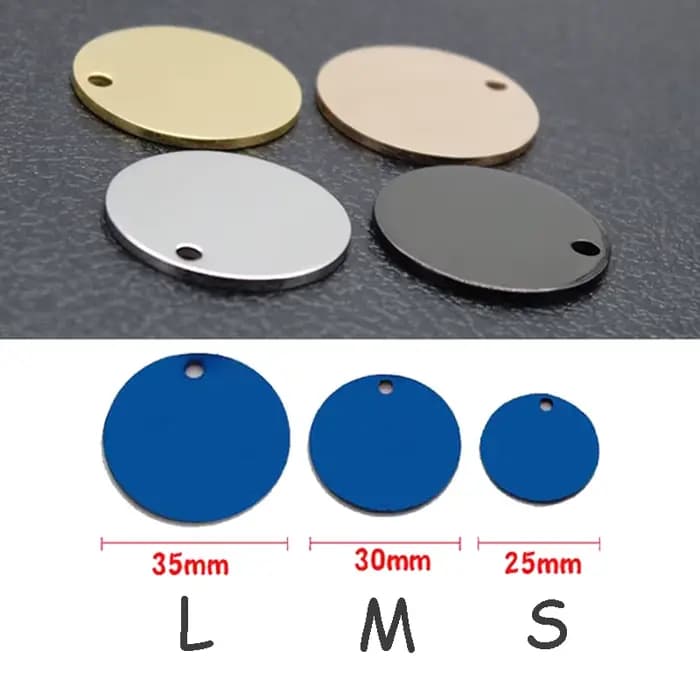 Collier personnalisé avec nom de chien et chat, accessoires circulaires personnalisés, étiquette d'i