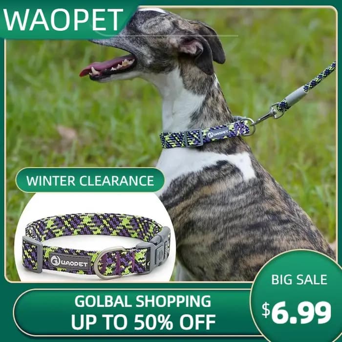 Collier réglable en nylon moulé pour animaux de compagnie, anneau de tour de cou pour chien, chiot,