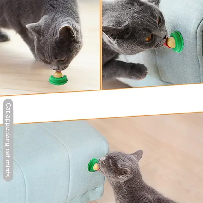 Bonbons léchant l'herbe à chat pour chaton, augmentation du sucre, boule d'énergie potable, collatio