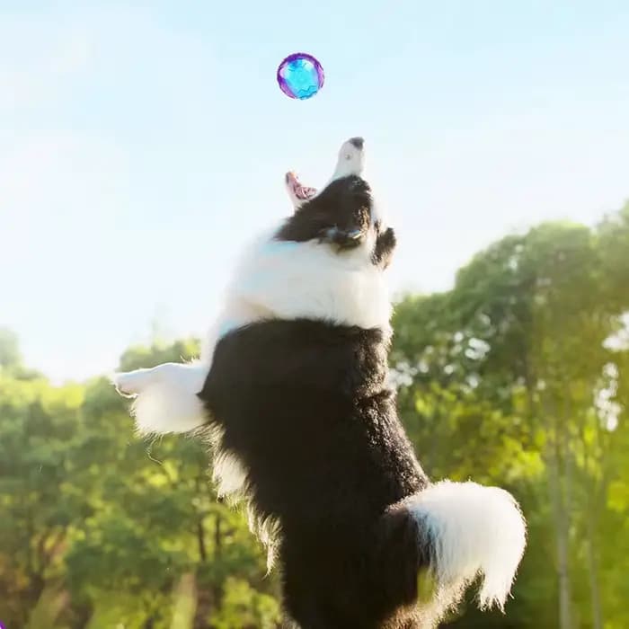 Jouets à mâcher grinçants pour animaux de compagnie, son pur, caoutchouc naturel non coupé, jeu en p