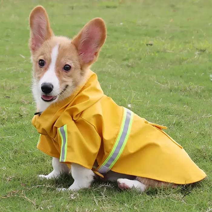 Grand chien imperméable Corgi manteau Style chiot imperméable chien vêtements réfléchissant animal d