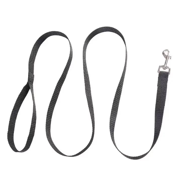 Laisse en nylon pour chien de compagnie, laisse pour petits et moyens chiens, chats, chiot, marche,