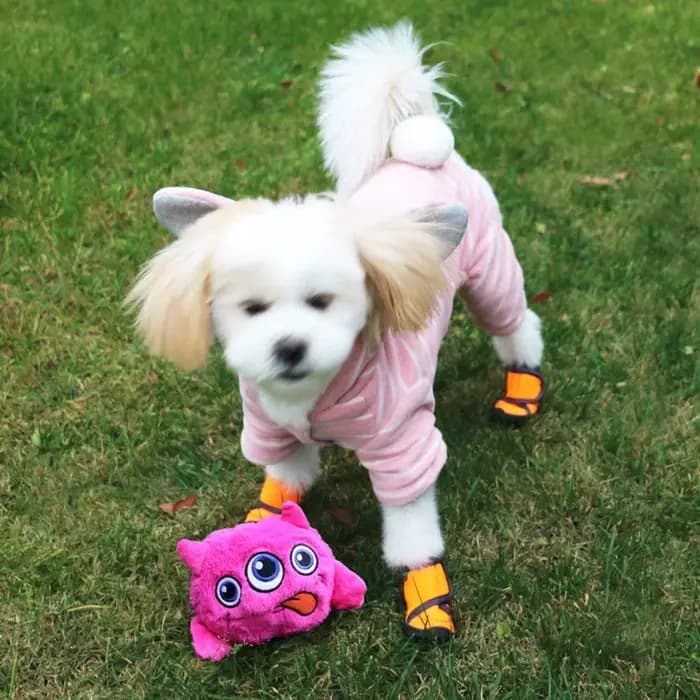 Jouets interactifs pour chiens, balle rebondissante, balle secouante, jouet en peluche, vibration él